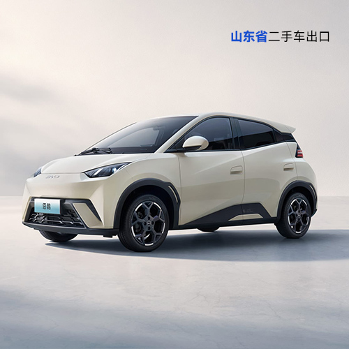 byd seagull electric car