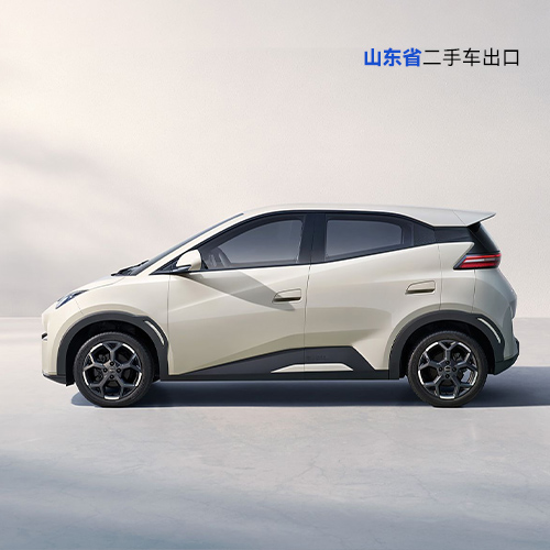 byd seagull electric car